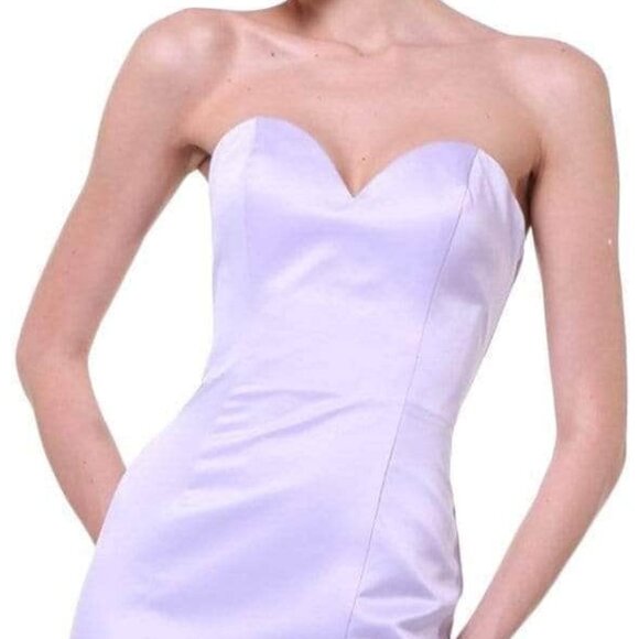 NWT Ladivine 8792 Prom Dress Lavender Size 4 - Picture 3 of 5